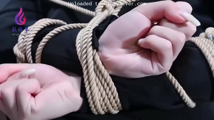 Chinese Beauty Prisoner