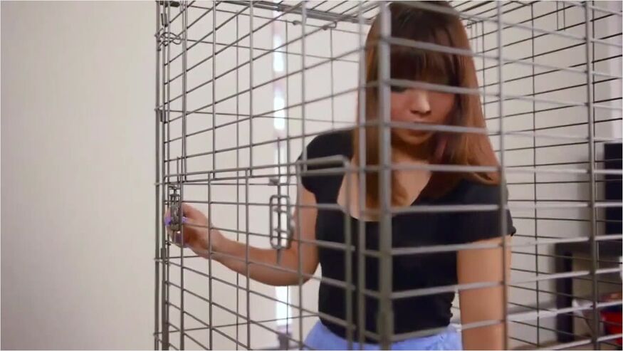 In Cage - Pet