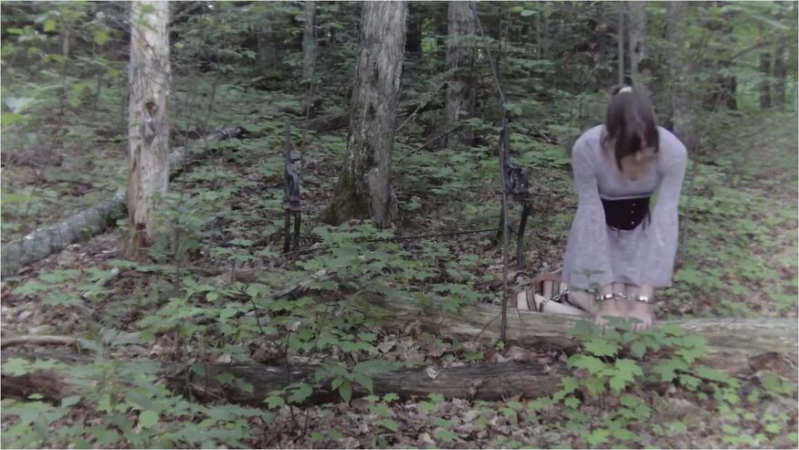 [tw] Nature Walk - 1-2