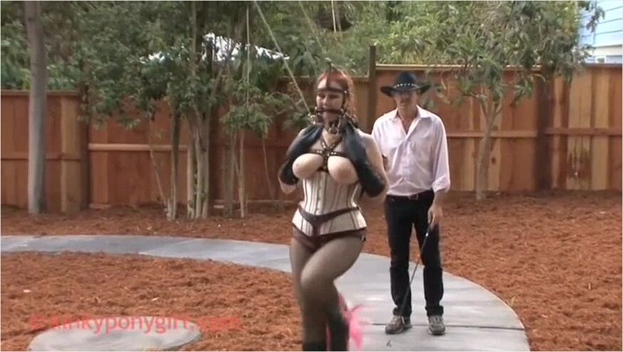 Ponygirl Life