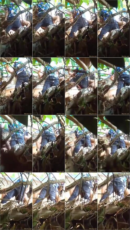 Bokep Indo Bacol Ngintip Abg Ngewe Di Semak - Bokeplah