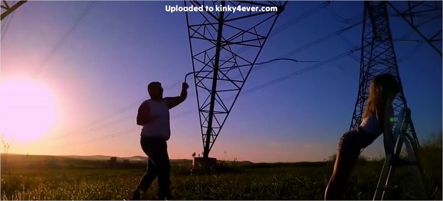 Bullwip Ao Por Do Sol