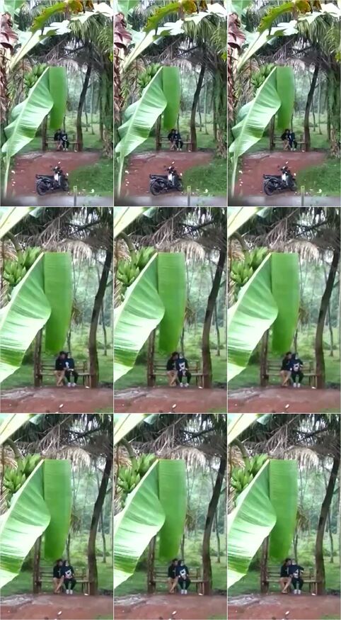 Video Pacaran Di Kebon Terekam KingBokep