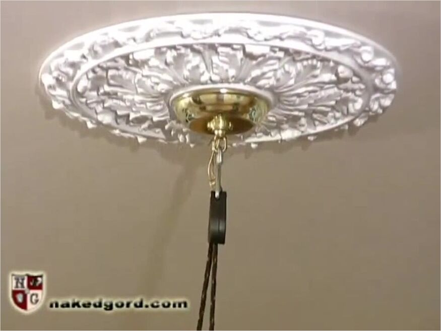 Pole Trainer - Adrianna Nicole