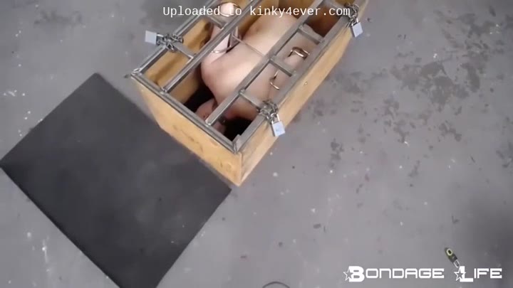Box And Lunch