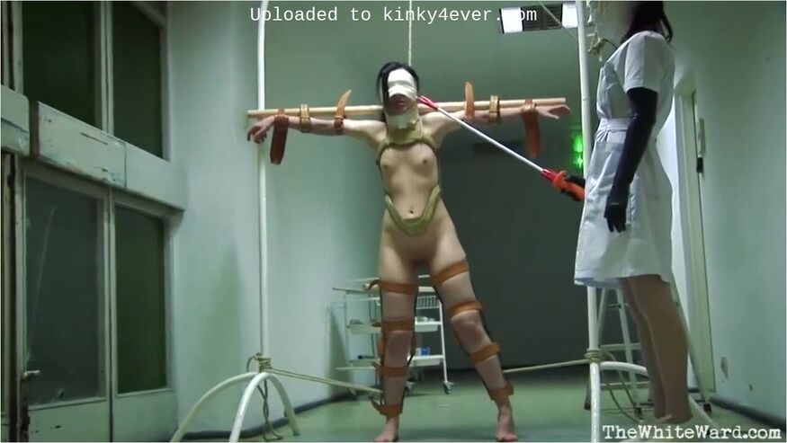 Braced Discipline Training