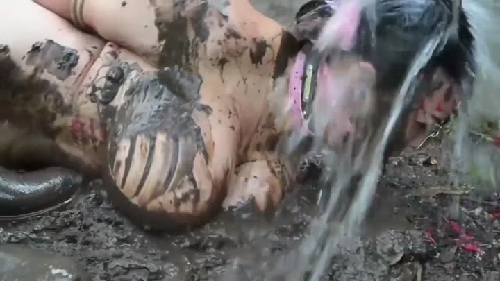 Tigerr Pig