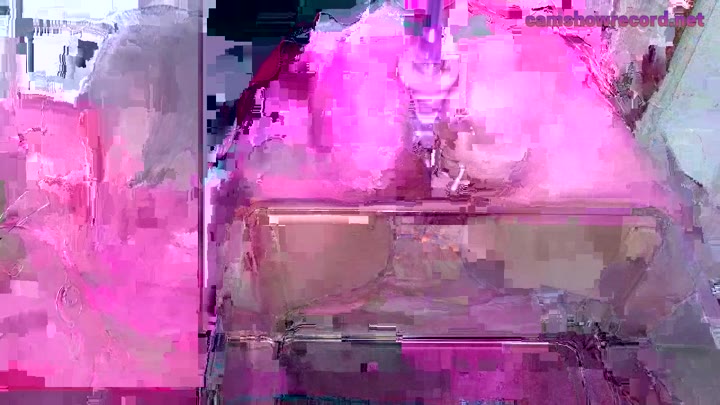 Webcam Model sammyEvans__ Videos