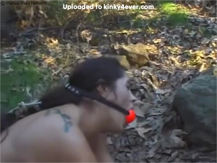 Deep In The Woods (full Video)