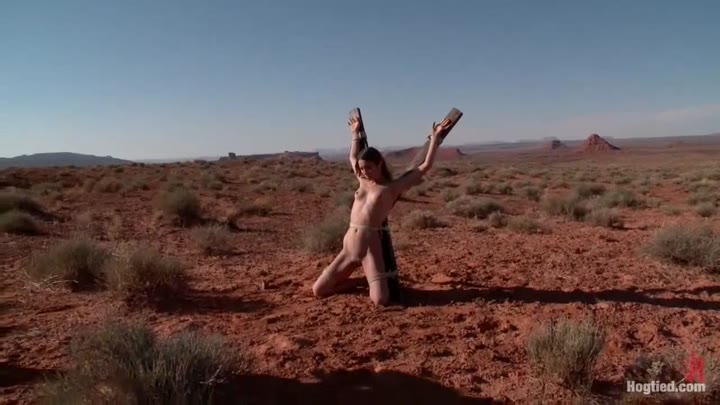 Ambers Torment In The Desert
