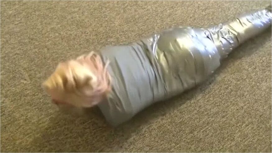 Dani Mummified