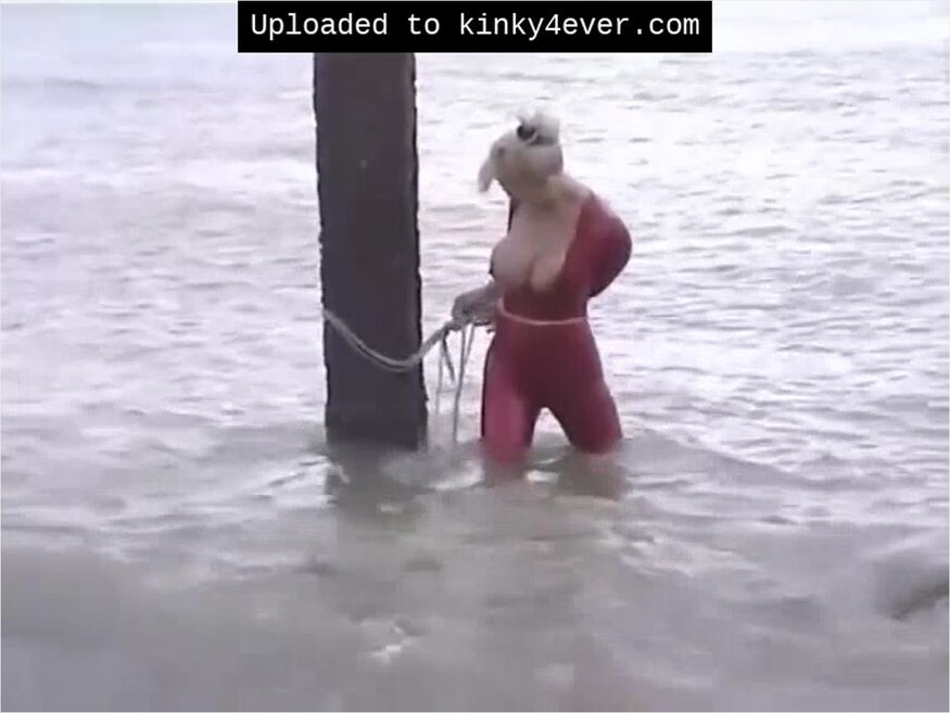 Red Catsuit Burglar