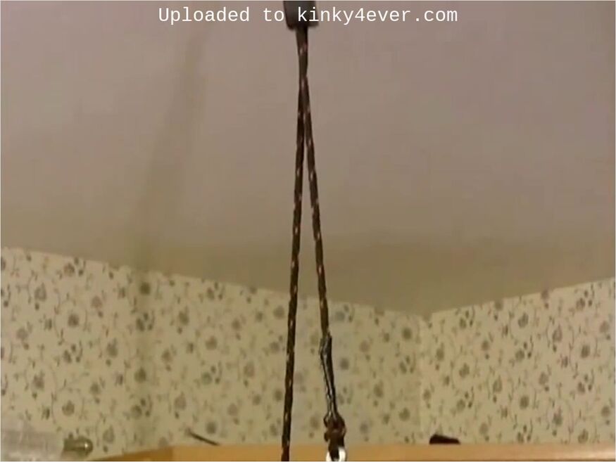 Standing Pole Trainer