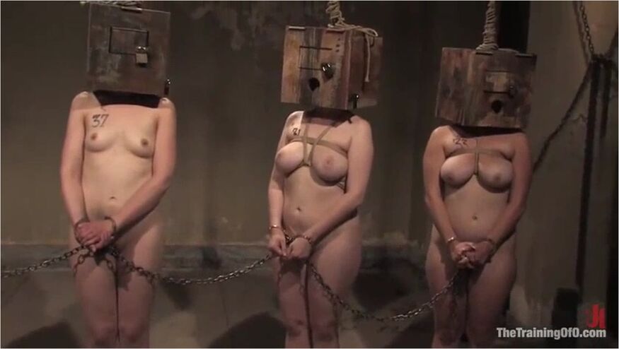 The Auditons Three