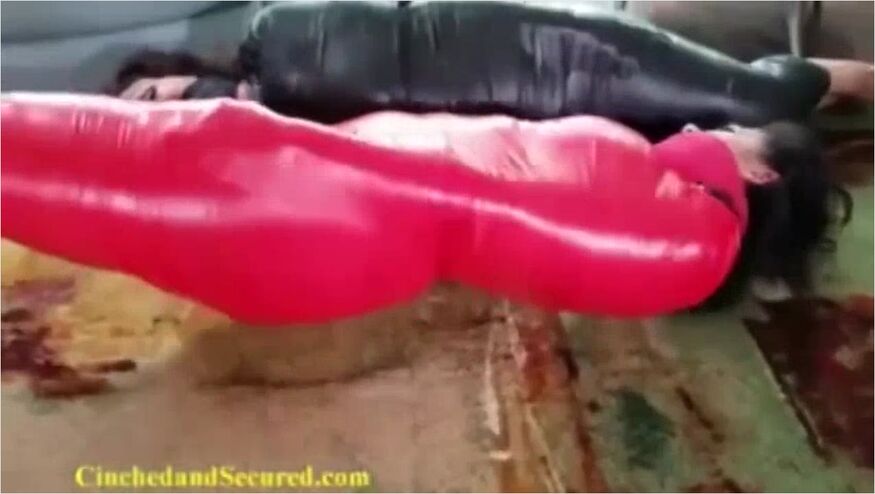 Two Tape Worms