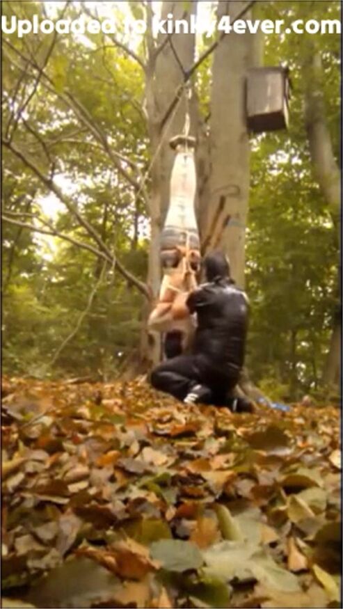 Suspension Im Wald