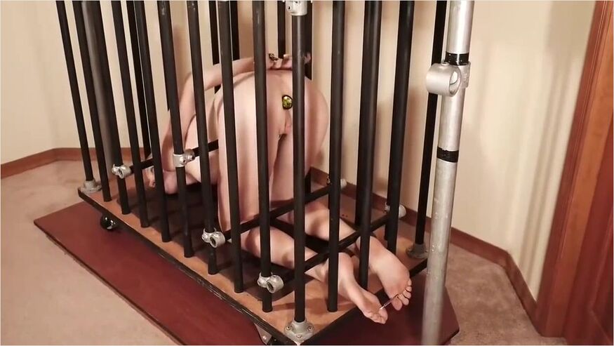 No Movement In A Cage