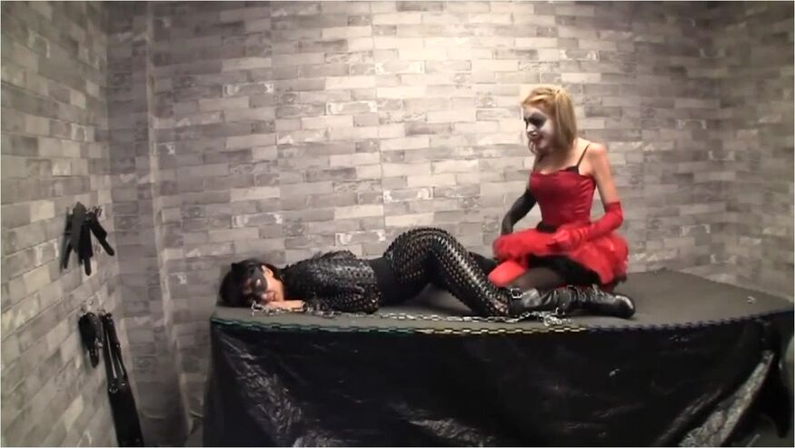 Catwoman And Harley