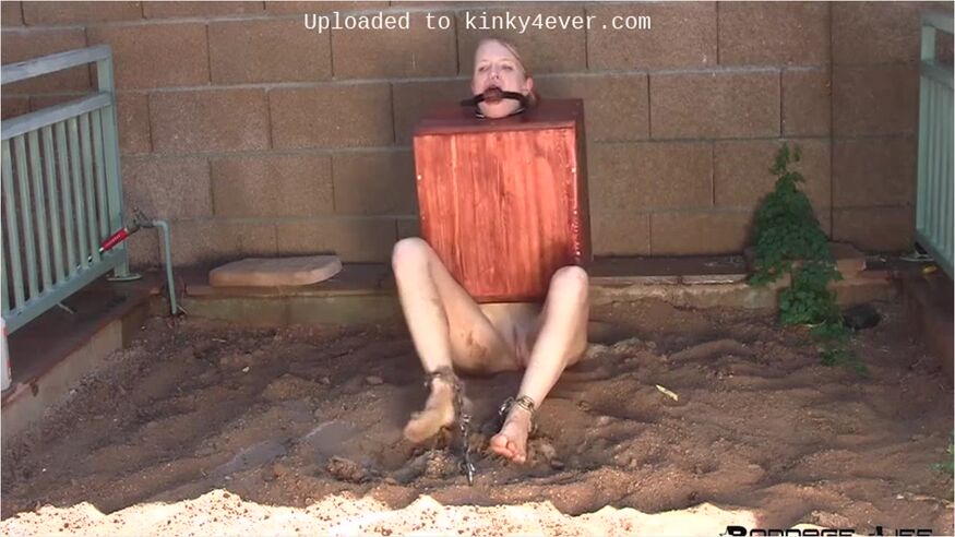The Mudbox