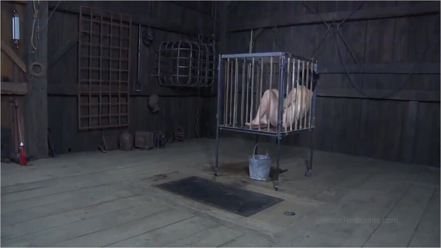 The Farm - Siouxsie
