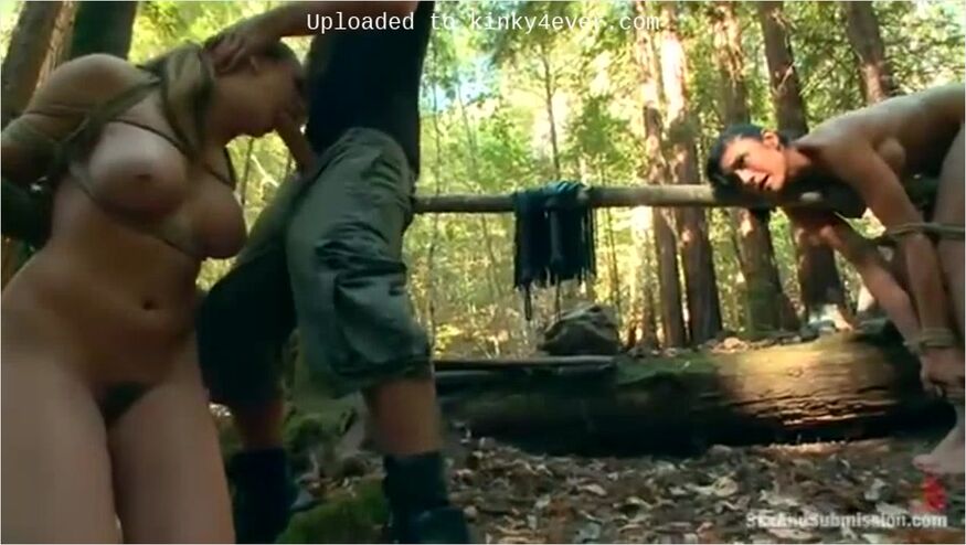 In The Woods With