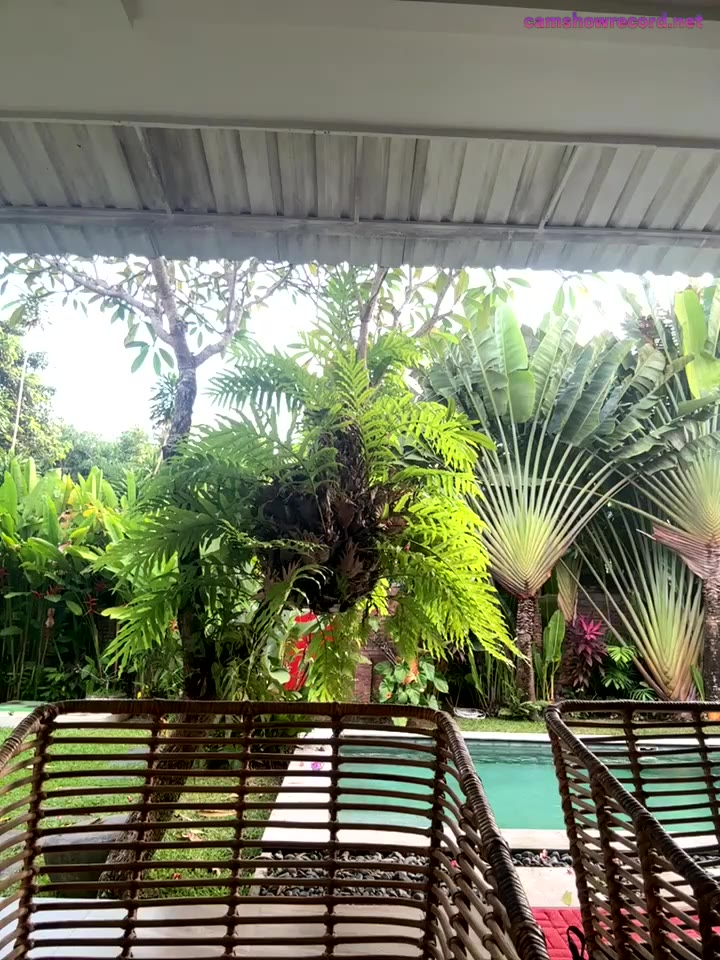 Webcam Model ChasingSunsets-Quinn Videos