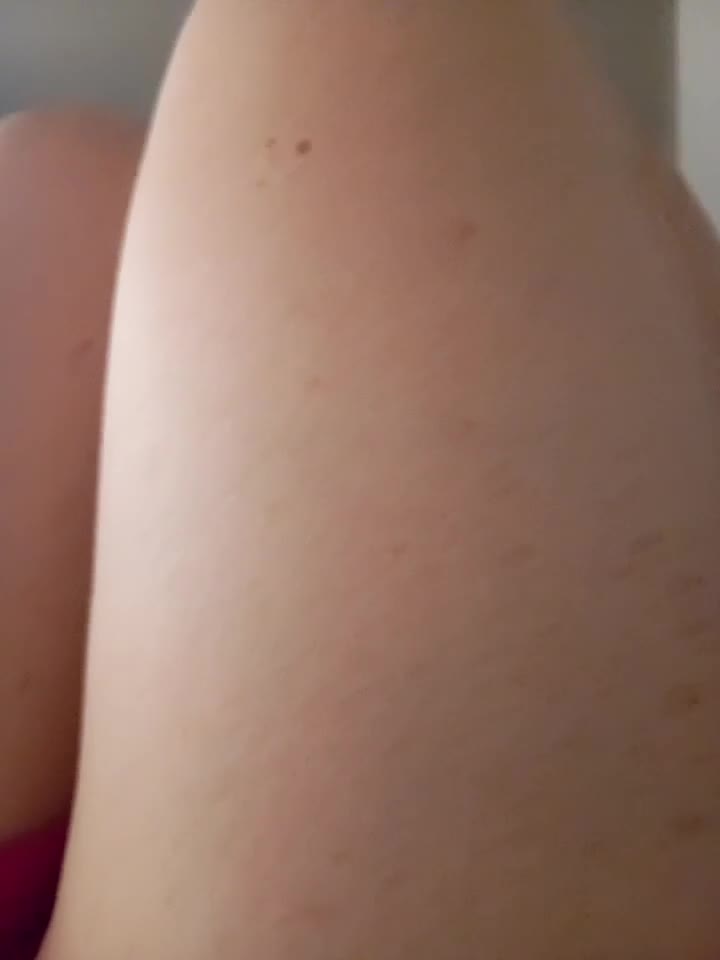 Taradinha_pelosogro 1