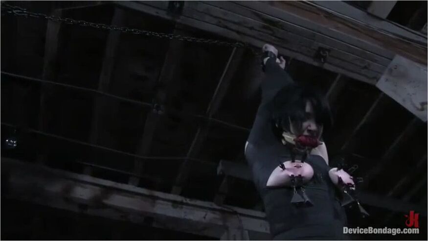Syn And The Chains