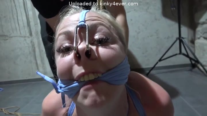 Very Hard Hogtie