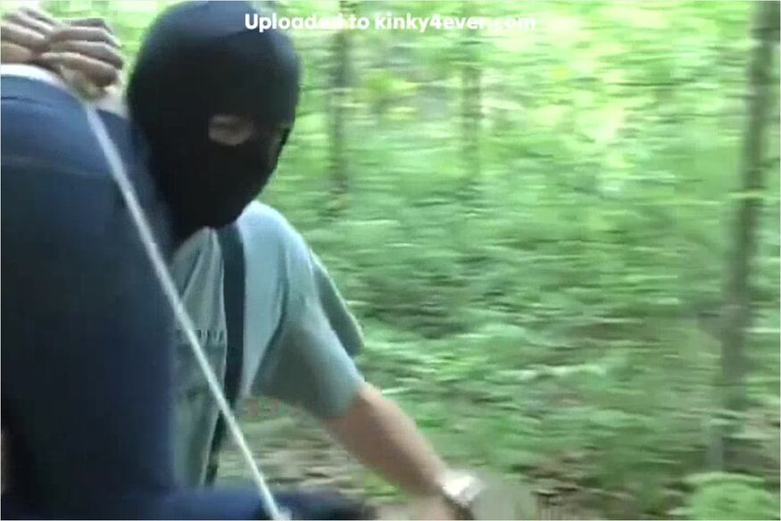 In The Woods
