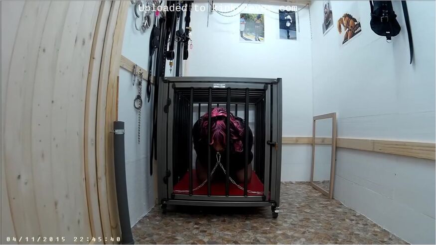 Tamina In Species-appropriate Cage System Housing