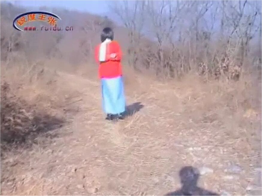 Long Walks In Shackles (chinese
