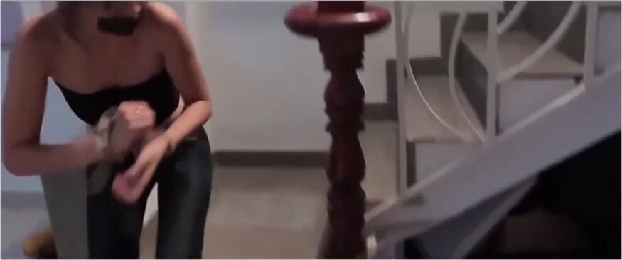 Vietnamese Damsel 4