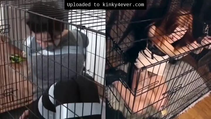 Dog-cage Drama