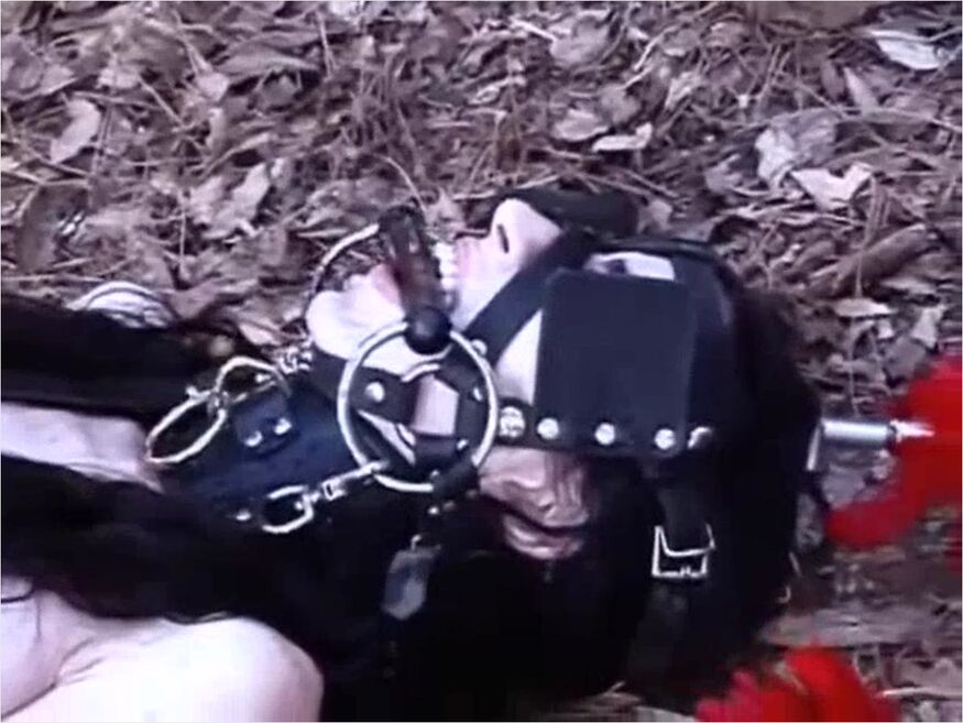 Vintage Ponygirls Movie