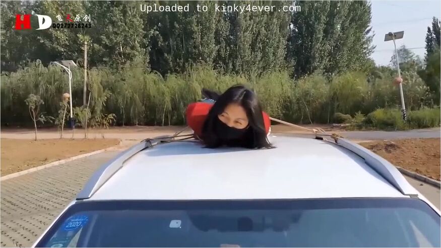 Road Trip