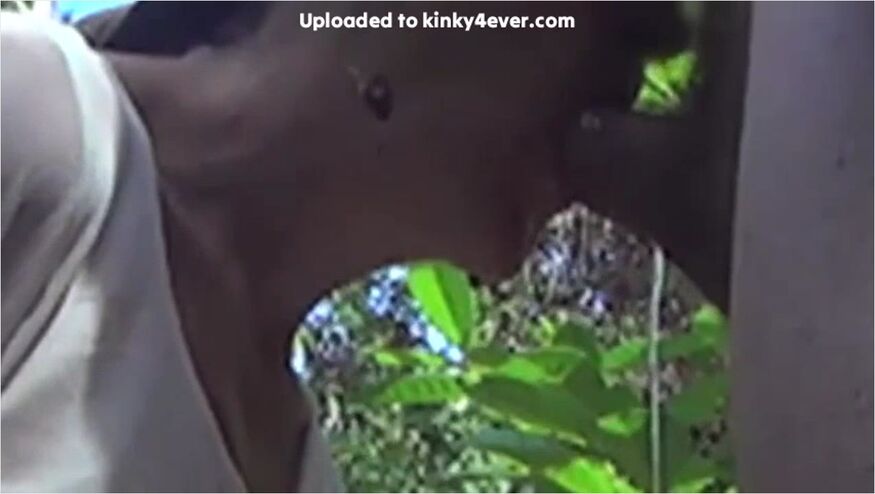 Garden Pee Sept18 Pt 2 Of 2