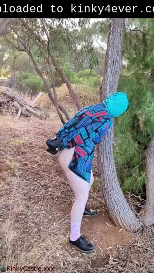Padlocked Hood And Mittens. Padlocked To A Tree Outdoor