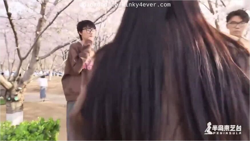 Crowded Cherry Blossom Festival Live
