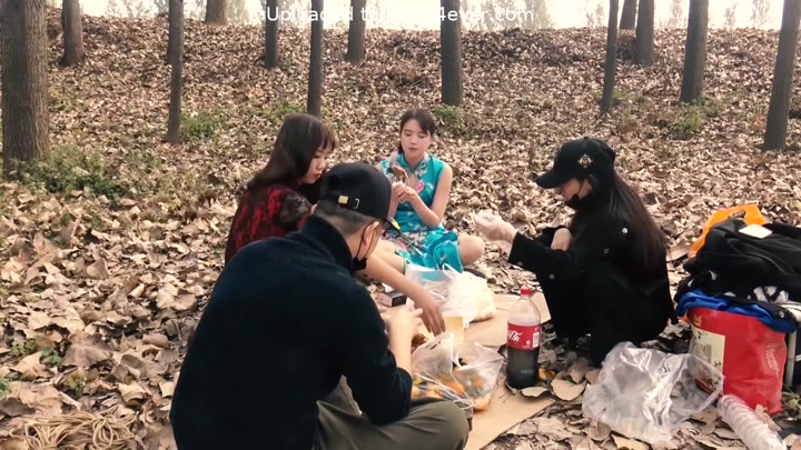 Chinese Outdoor Picnic