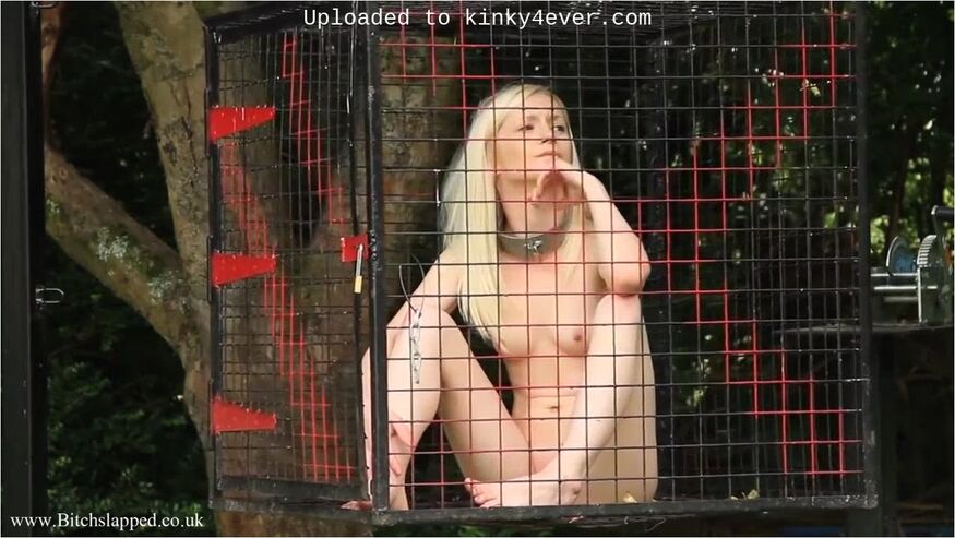 Training Of A New Slave