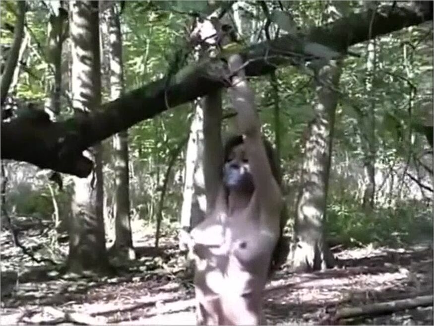 Amarrada Na Floresta