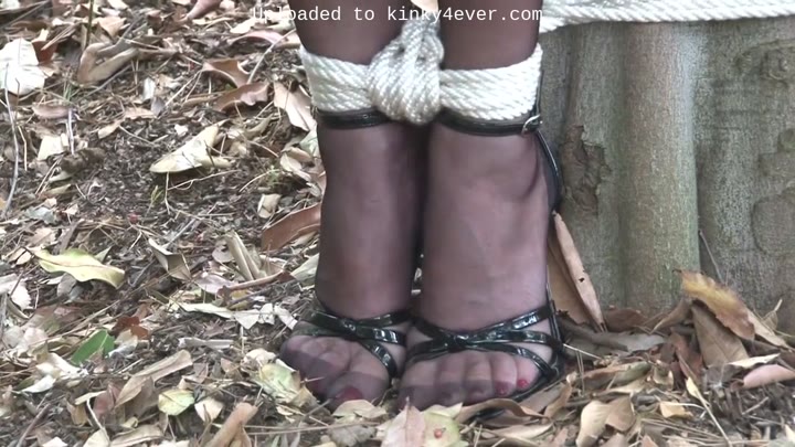 Tied To A Tree