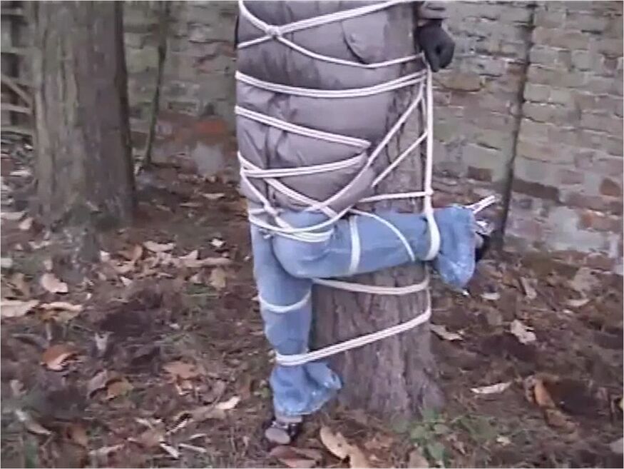 Tree Bound